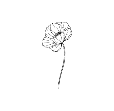 Elément décoratif - coquelicot monoligne noir Joanie Frigau