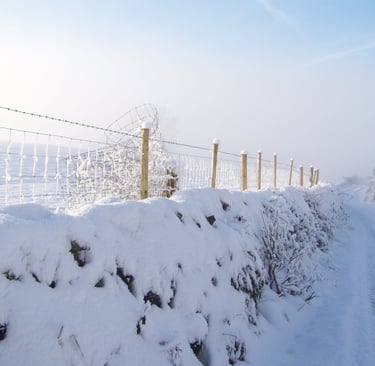 Snow on the fence by Andrew Duddle