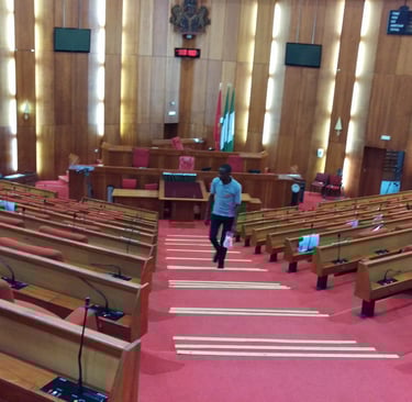 Cleaners at work_dust and wipes