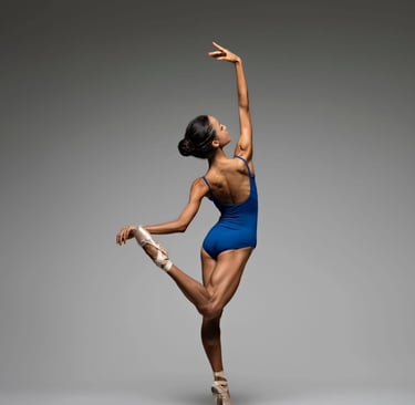 a woman in a blue leoperlant leoperlant leoperlanlarybarbosa ballet