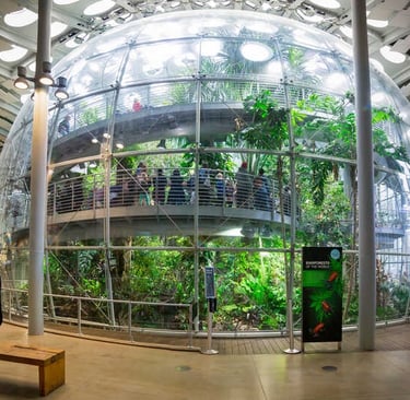 Is Net Zero Energy Building Net Zero Carbon as Well?