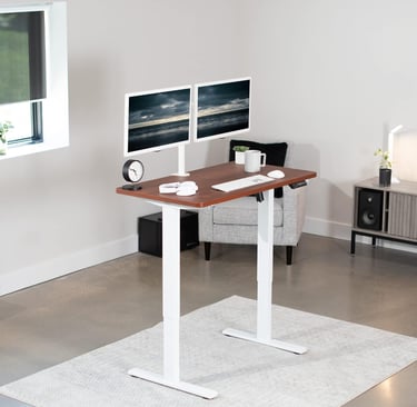 sit-stand desk