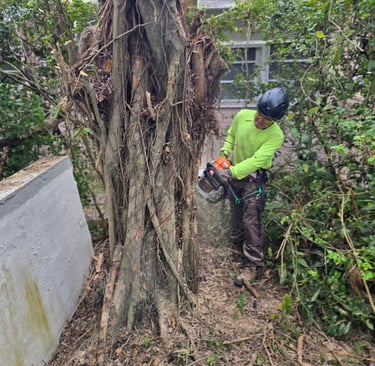 a man in a helmet is cutting through a tree