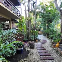a pathway leading to a garden with potted plants