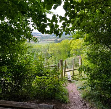 countryside landscape looking through trees across the valley with a stile and bench