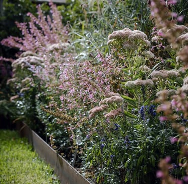 a garden with a wooden fence and flowers
