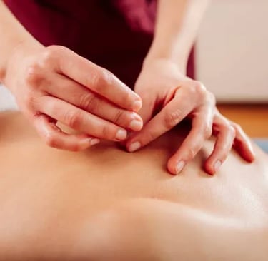 Profissional fazendo aplicação de agulha de acupuntura nas costas do paciente deitado