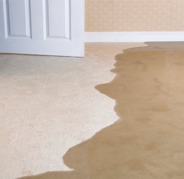 flooded basement leak detection for insurance claim