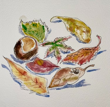 A painting of a collection of autumn leaves and a conker, with a tiny snail on one leaf.