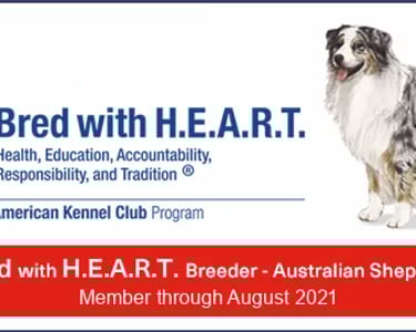 AKC Bred with HEART badge