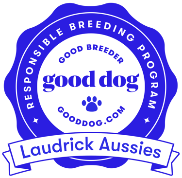 Laudrick Aussies Good dog badge