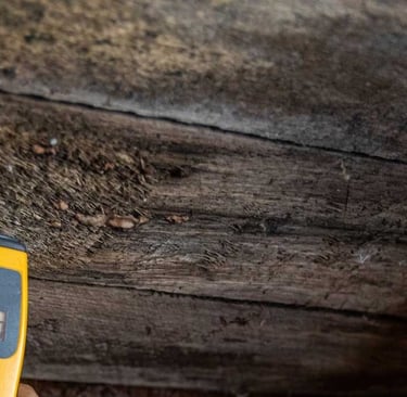 inspection of mold pressence