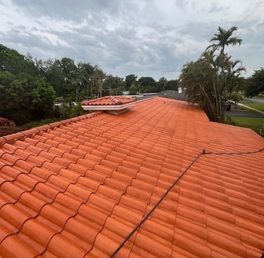 roof soft washing broward county fl