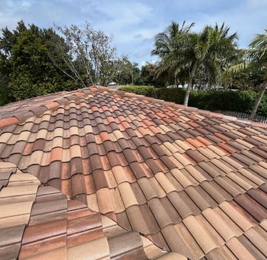 roof soft washing broward county fl