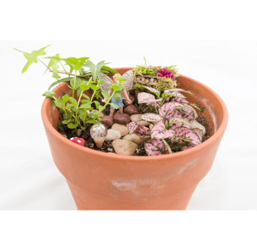Mini fairy garden fairy themed party favor