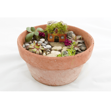 Mini fairy garden fairy themed party favor