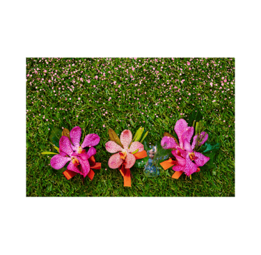 Fairy garden table runner three orchids in a row of flowers