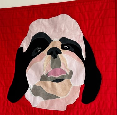 Grizzly - SoGrizz muse