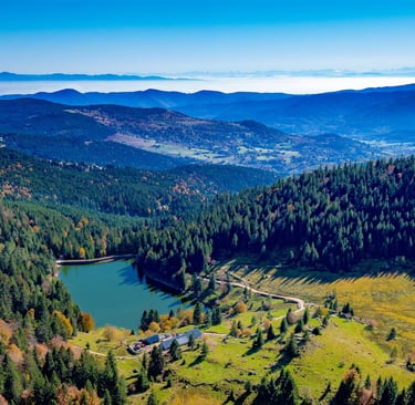 Vosges mountain lake from above