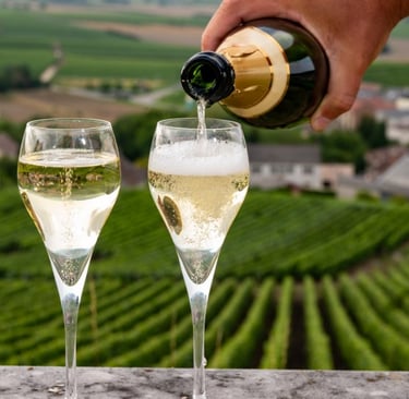 Champain served in glasses with vineyards