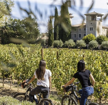 Biking in vineyards in wine domain and chateau