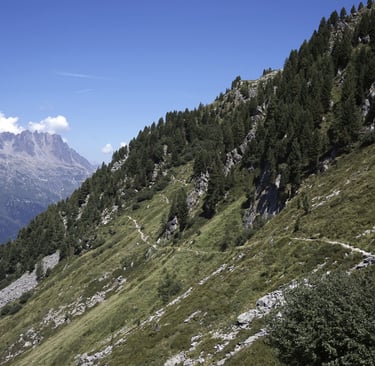 Hiking in the Alps