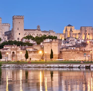 Avignon city Pope palace and city walls and river
