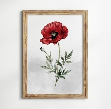 coquelicot