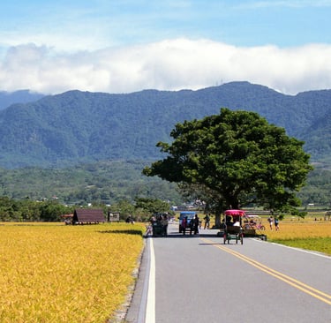 taiwan mountains, taiwan rural life, rice fields