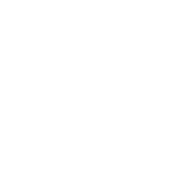 Holionix chat bot support