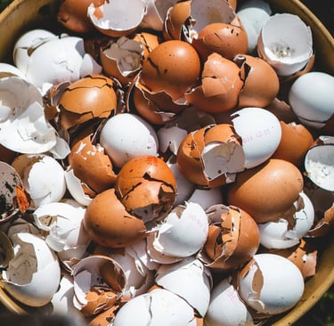 coquilles d'oeufs jardinage