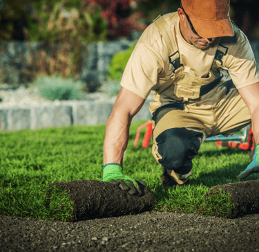 Professional landscaping and grounds maintenance by Cleanmax for homes and businesses.
