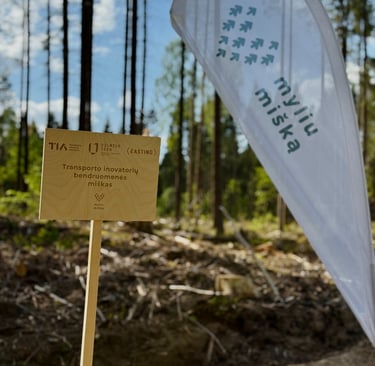 Myliu miška iniciatyva. Miškasodis 2025.