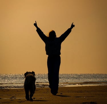 Hondenfotoshoot op het strand