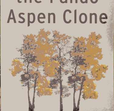 forêt de Pando