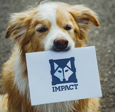 Optimizing affiliate marketing landing pages