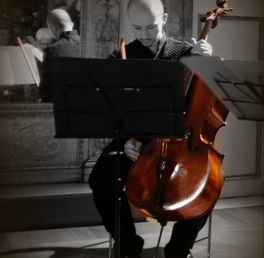 Dario Silveri