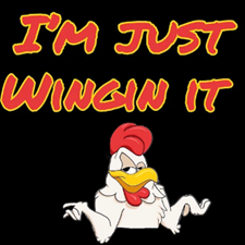 IM just wingin it LOGO