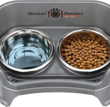 Dog food and water bowls
