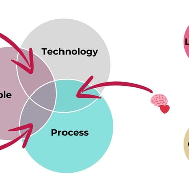 image showing a venn diagram for people process technology and leadership and customer off to the si