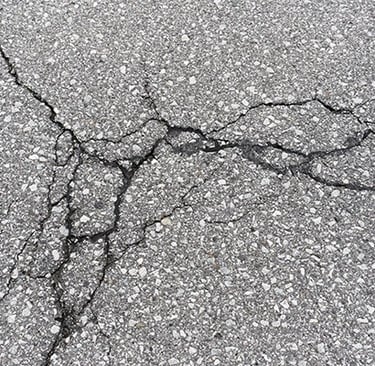 Growing asphalt cracked driveway
