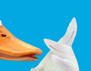 Aflac duck