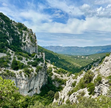 symbole d’élévation et de reconnexion à la grandeur de la nature.