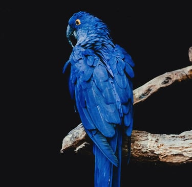 Conciergerie Airbnb 100 %Digitale - Valence