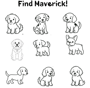 a find what's different activity page