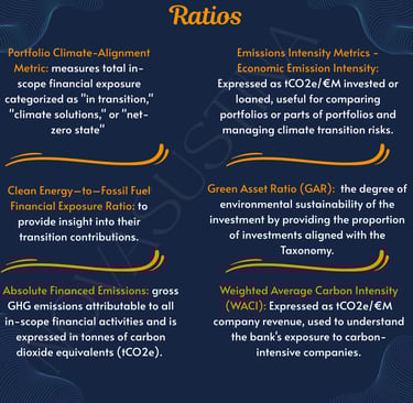 financial ratios environmental perspective