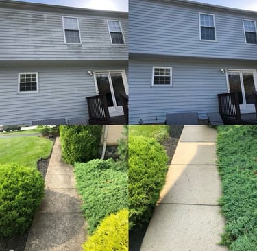 Pressure and soft washing of home, concrete, patio, fence.