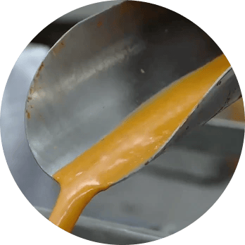 Sea Buckthorn pulp extraction process separating seeds and preserving natural antioxidants at Wellwi