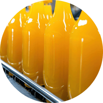 Bottling line sealing Sea Buckthorn juice bottles to preserve freshness and nutrients for Wellwith A