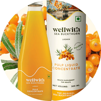 Wellwith Ayuzera Sea Buckthorn juice bottles ready for nationwide doorstep delivery of Himalayan nut